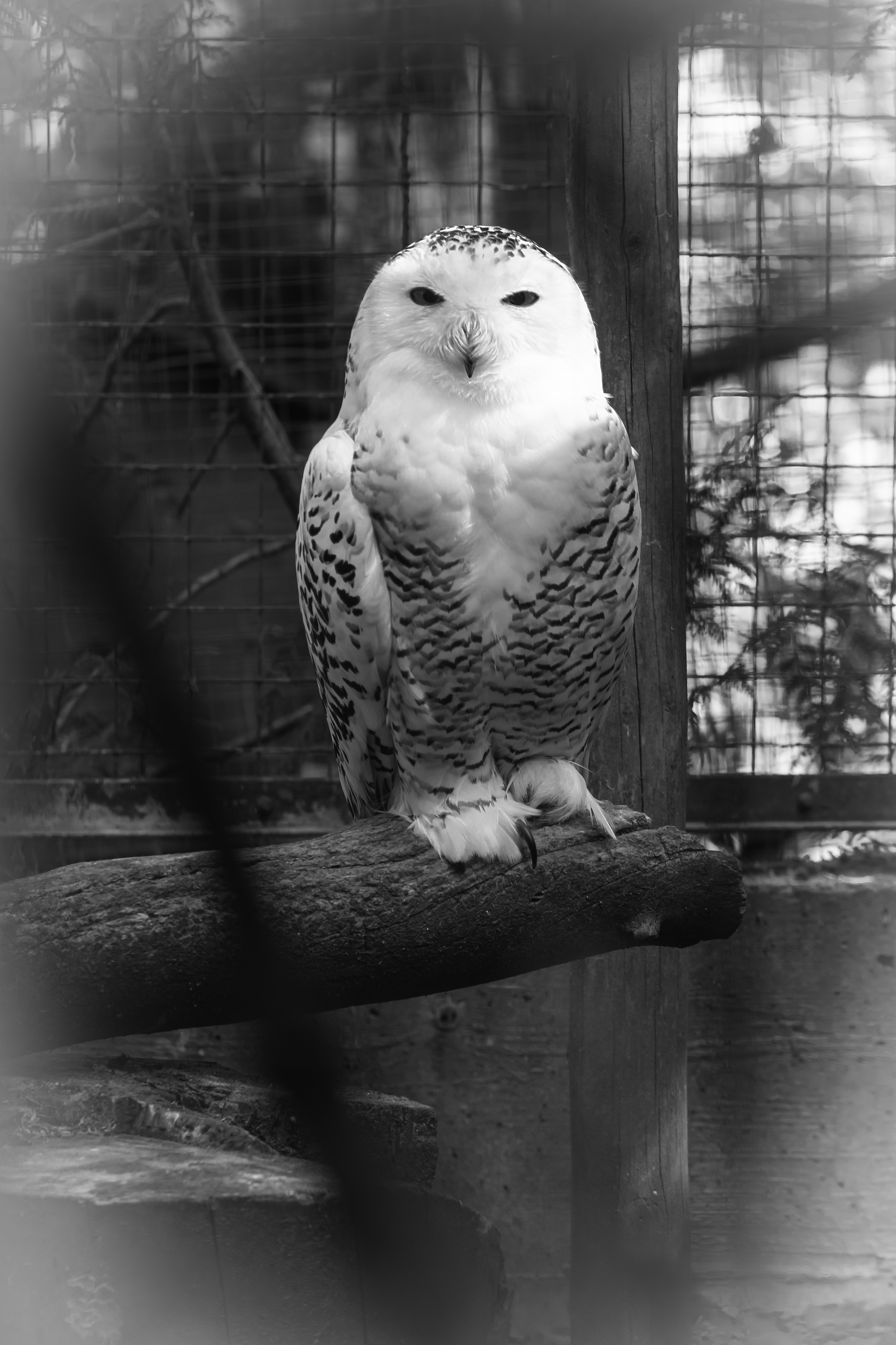 Faite au Muzoo La Chaux-de-Fonds